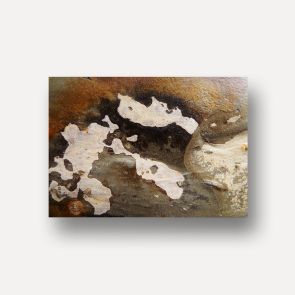 A - Stein Depth of a Stone | Limited Edtion | 15 Prints