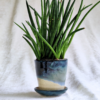 Plant Pot | Ocean Blue & Sand beige | Medium Size