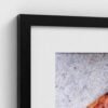 prodigi-GLOBAL-CFPM-28X40-framecolour_black-glaze_acrylic _ perspex-frame_classic-papertype_ema-substrateweight_200gsm-mount_2.4mm-mountcolour_snow white Close-up of the corner of a framed Eucalyptus fine art print with black frame and snow white mount