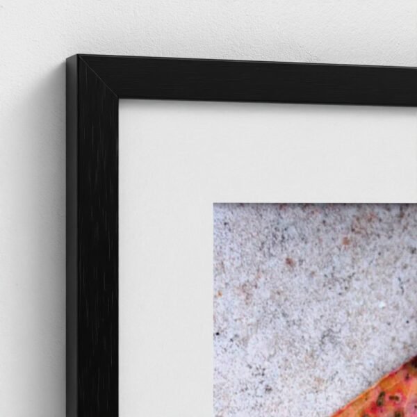 prodigi-GLOBAL-CFPM-28X40-framecolour_black-glaze_acrylic _ perspex-frame_classic-papertype_ema-substrateweight_200gsm-mount_2.4mm-mountcolour_snow white Close-up of the corner of a framed Eucalyptus fine art print with black frame and snow white mount