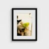 prodigi-GLOBAL-CFPM-12X16-framecolour_black-glaze_acrylic _ perspex-frame_classic-papertype_ema-substrateweight_200gsm-mount_2.4mm-mountcolour_snow white Permission to Rest framed fine art print with black frame and white mount, front view