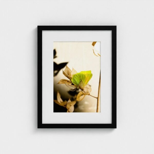 prodigi-GLOBAL-CFPM-12X16-framecolour_black-glaze_acrylic _ perspex-frame_classic-papertype_ema-substrateweight_200gsm-mount_2.4mm-mountcolour_snow white Permission to Rest framed fine art print with black frame and white mount, front view
