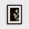 prodigi-GLOBAL-CFPM-12X16-glaze_acrylic _ perspex-frame_classic-papertype_ema-substrateweight_200gsm-mount_2.4mm-mountcolour_snow white-framecolour_black (2) Butcher’s Broom Fine Art Print | Botanical Photography