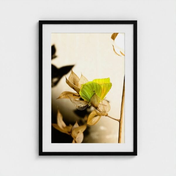 prodigi-GLOBAL-CFPM-20X28-framecolour_black-glaze_acrylic _ perspex-frame_classic-papertype_ema-substrateweight_200gsm-mount_2.4mm-mountcolour_snow white Permission to Rest framed fine art print with black frame and white mount, front view