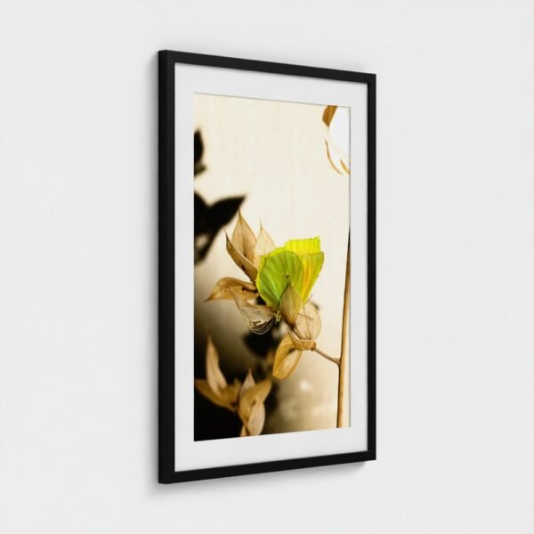 prodigi-GLOBAL-CFPM-20X28-glaze_acrylic _ perspex-frame_classic-papertype_ema-substrateweight_200gsm-mount_2.4mm-mountcolour_snow white-framecolour_black (3) Permission to Rest: Cleopatra Butterfly Fine Art Photographic Print