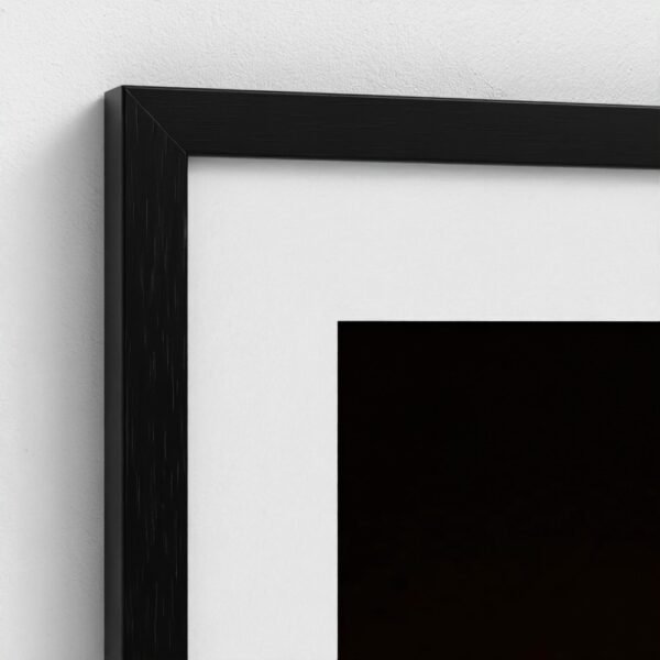 prodigi-GLOBAL-CFPM-28X40-framecolour_black-glaze_acrylic _ perspex-frame_classic-papertype_ema-substrateweight_200gsm-mount_2.4mm-mountcolour_snow white (4) Close-up of the corner of a framed Butcher’s Broom fine art print with black frame and snow white mount