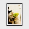 prodigi-GLOBAL-CFPM-28X40-framecolour_black-glaze_acrylic _ perspex-frame_classic-papertype_ema-substrateweight_200gsm-mount_2.4mm-mountcolour_snow white (5) Permission to Rest framed fine art print with black frame and white mount, front view