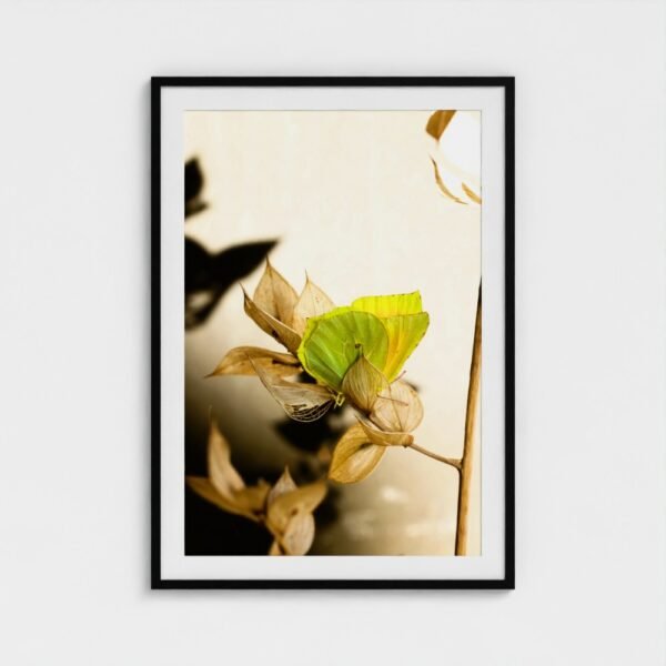 prodigi-GLOBAL-CFPM-28X40-framecolour_black-glaze_acrylic _ perspex-frame_classic-papertype_ema-substrateweight_200gsm-mount_2.4mm-mountcolour_snow white (5) Permission to Rest framed fine art print with black frame and white mount, front view